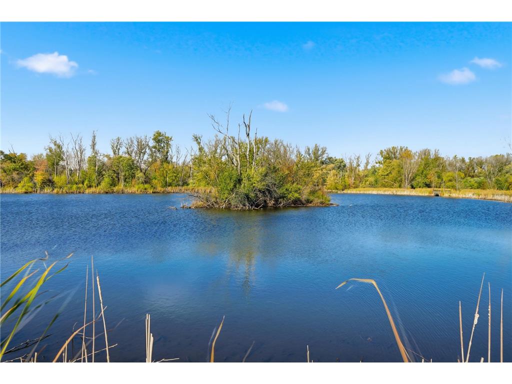 7329 Fremont Avenue S Richfield MN 55423 6808402 image39