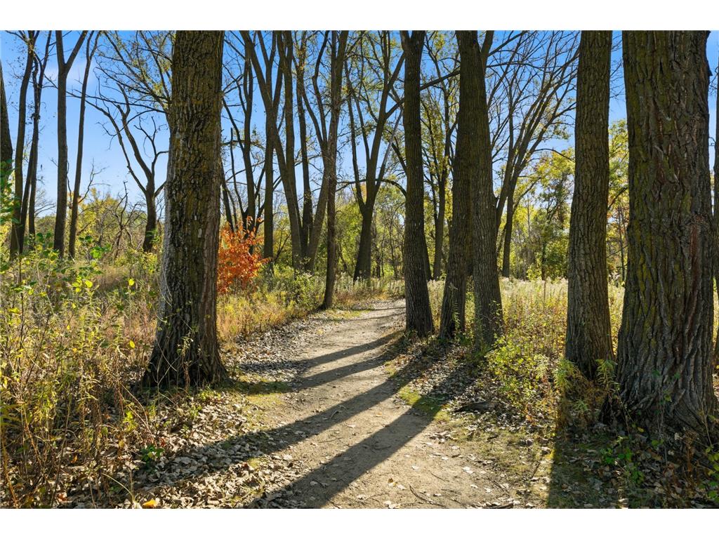 7329 Fremont Avenue S Richfield MN 55423 6808402 image42