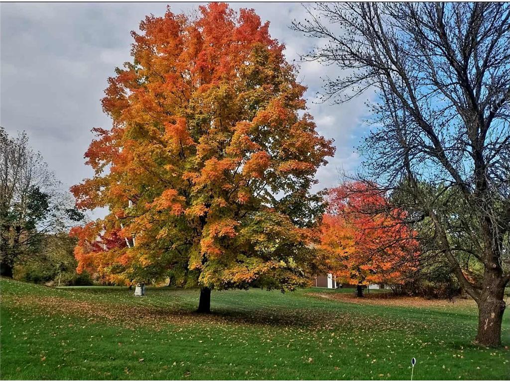 7331 175th Avenue NW Ramsey MN 55303 6689798 image2