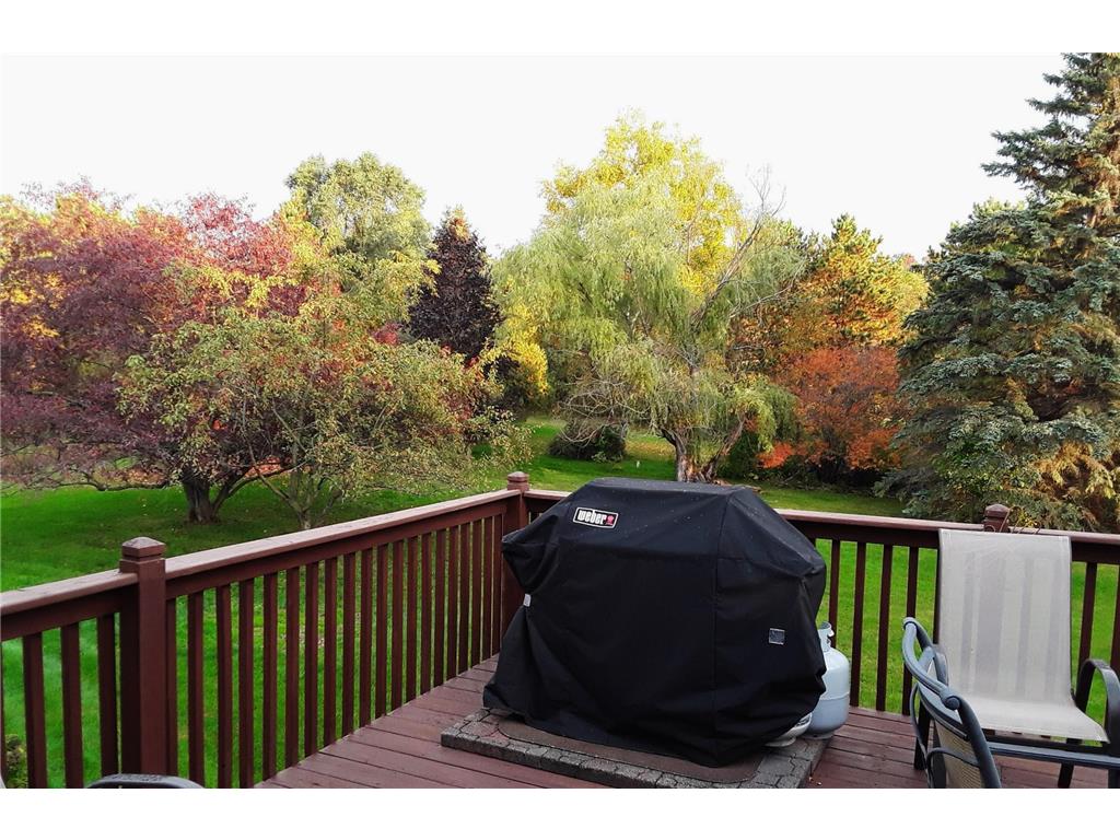 7331 175th Avenue NW Ramsey MN 55303 6689798 image41