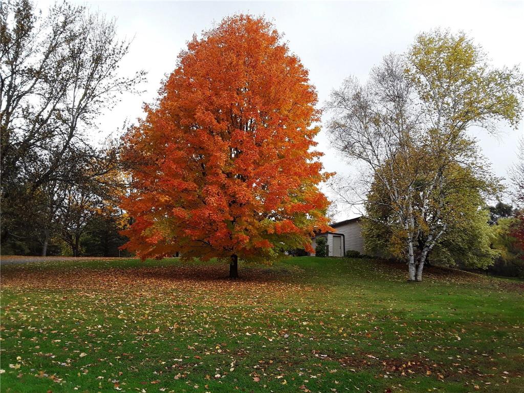 7331 175th Avenue NW Ramsey MN 55303 6689798 image42