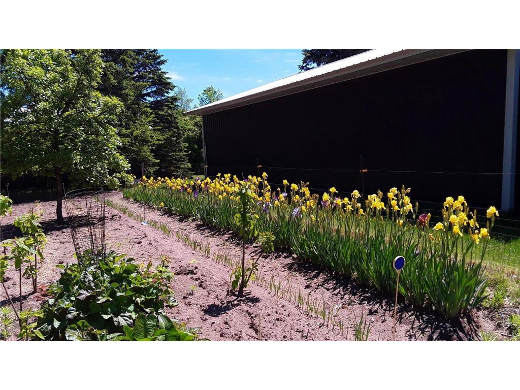 7331 175th Avenue NW Ramsey MN 55303 7040785 image16