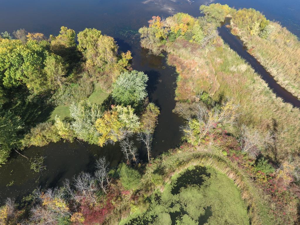 7333 Peltier Circle Centerville MN 55038 - Peltier 6811385 image8