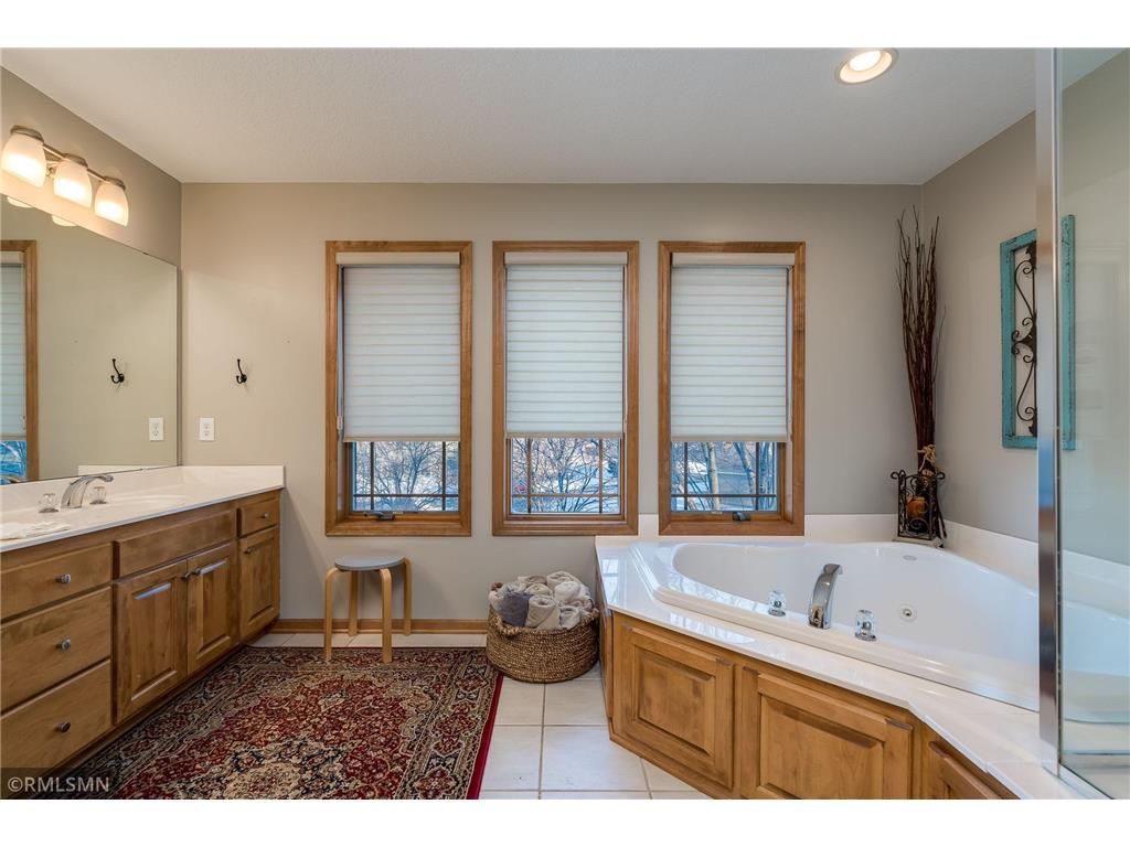 7336 N Fountain Lane N Maple Grove MN 55311 7014609 image40