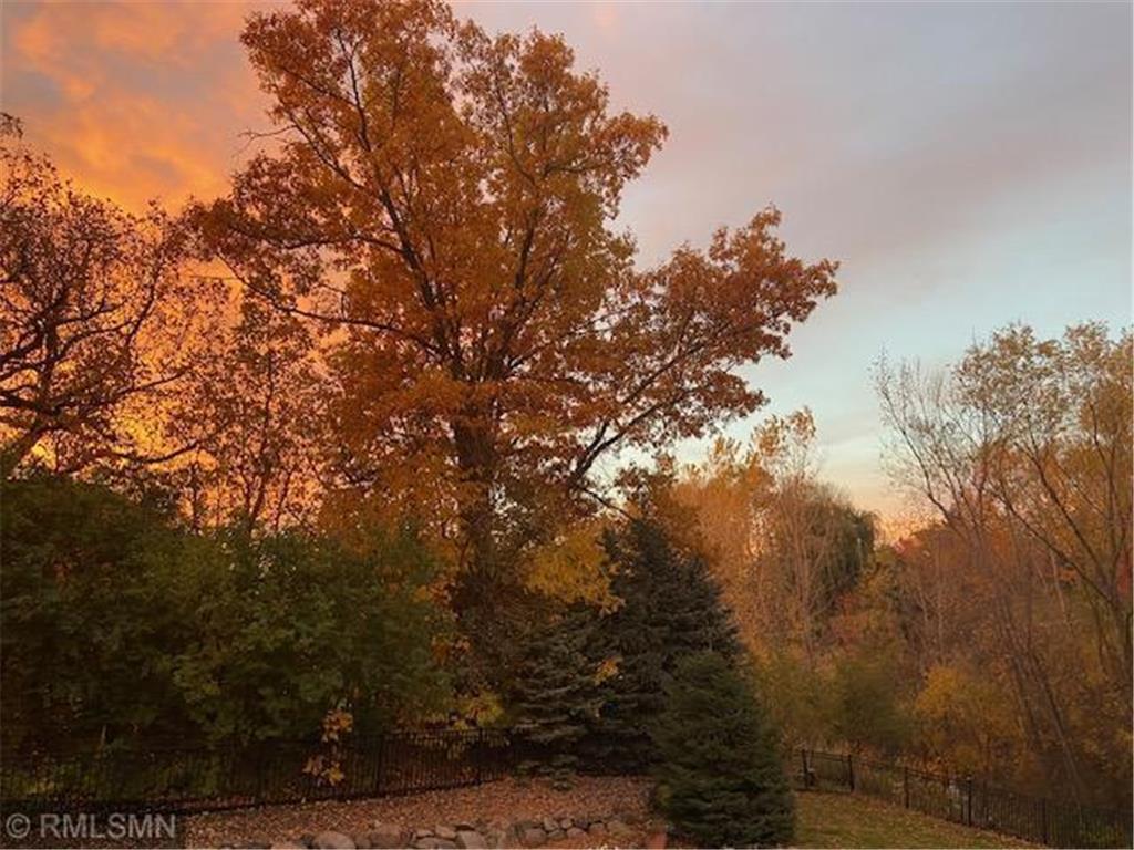 7336 N Fountain Lane N Maple Grove MN 55311 7014609 image94