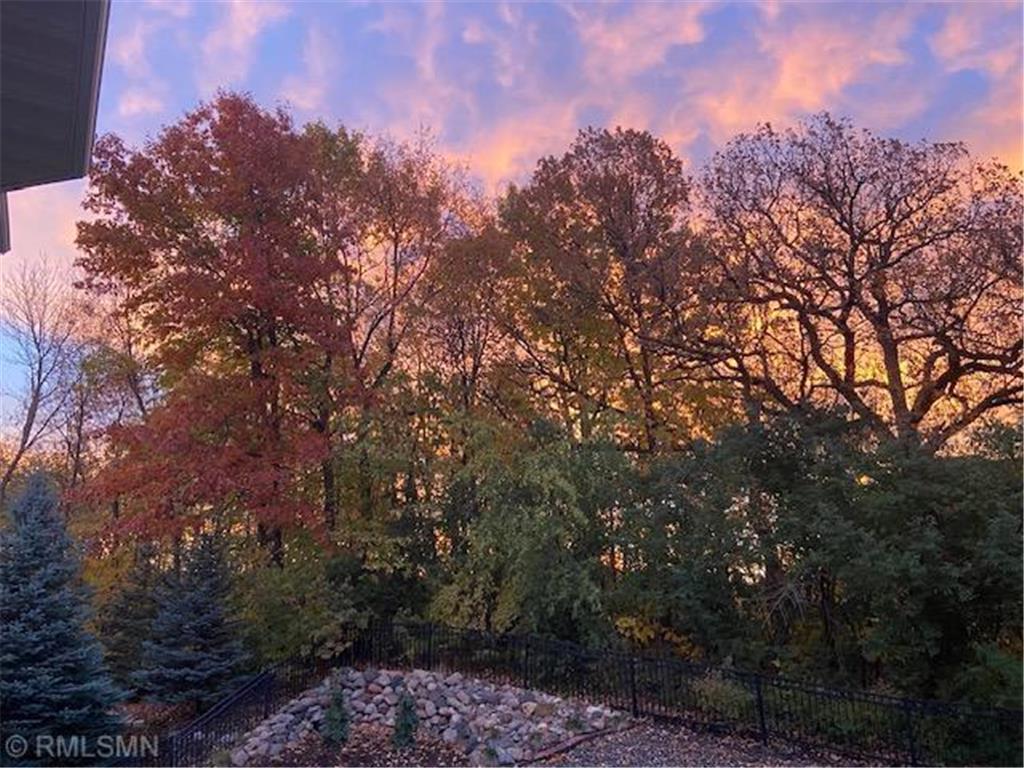 7336 N Fountain Lane N Maple Grove MN 55311 7014609 image95