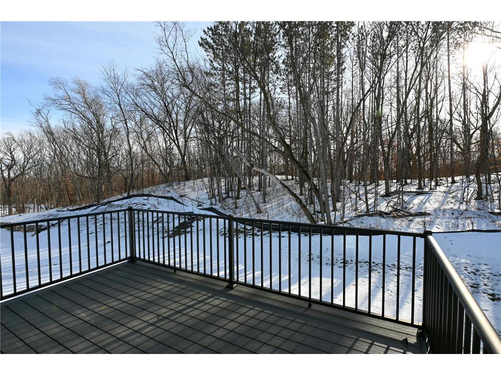 734 Ensconced Way Chaska MN 55318 7047744 image44