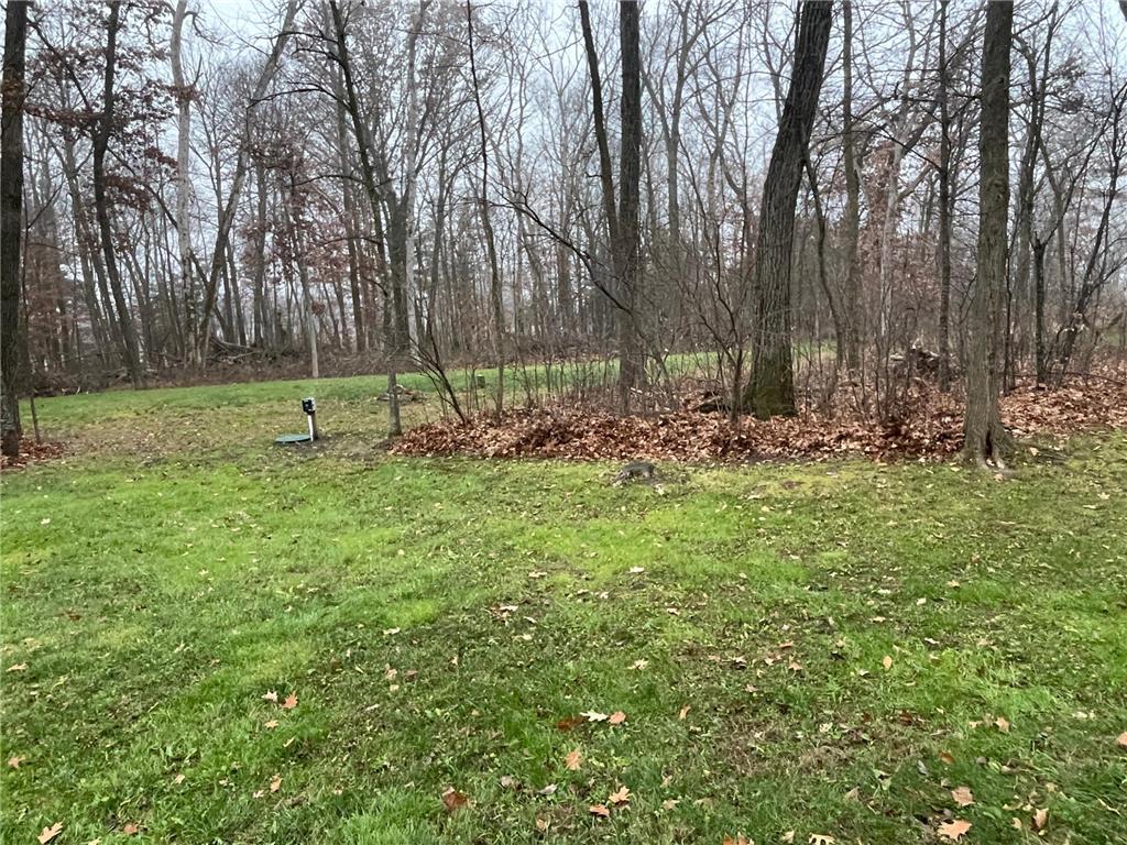 7340 County Road 19 SE Pleasant Grove Twp MN 55904 6821570 image63