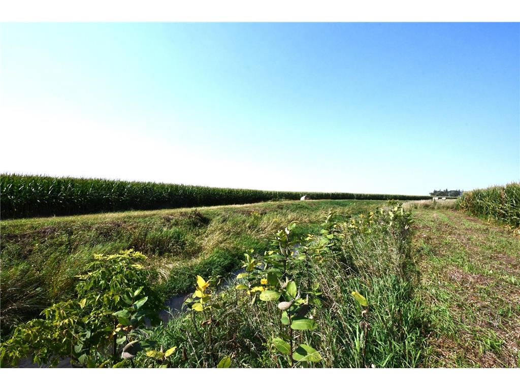 73487 State Hwy 30 Blooming Prairie MN 55917 6341795 image1