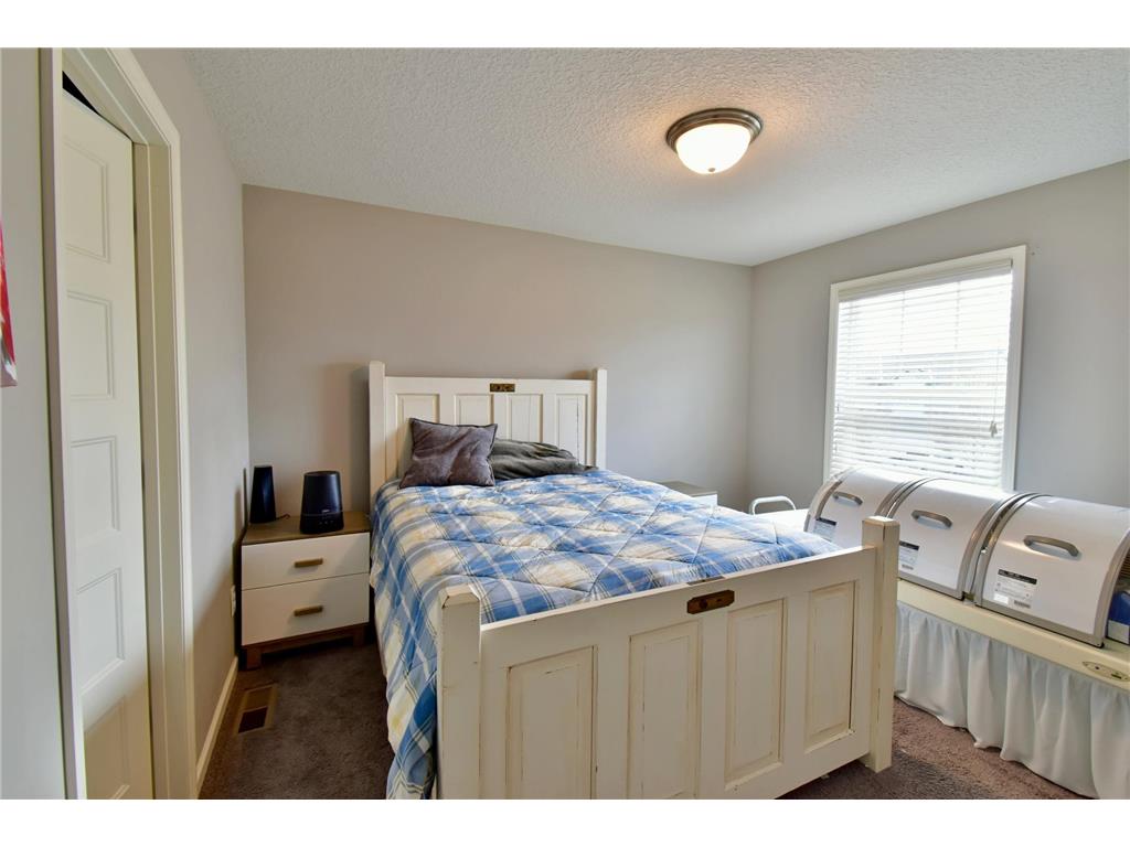 7353 168th Circle NW Ramsey MN 55303 7053891 image28