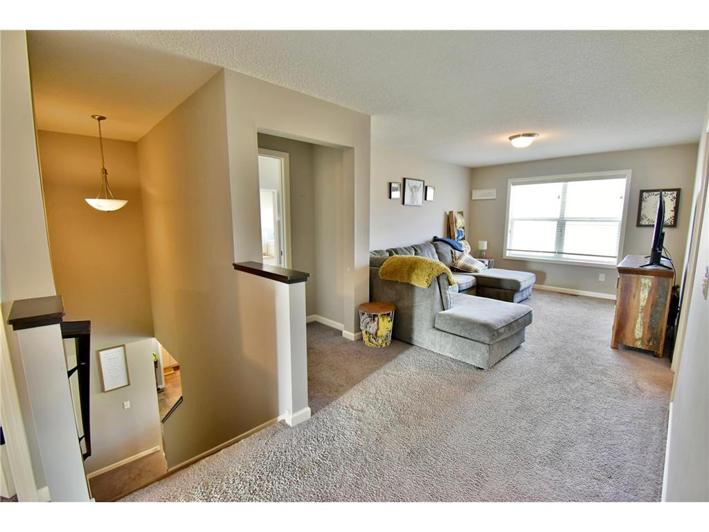7353 168th Circle NW Ramsey MN 55303 7053891 image32