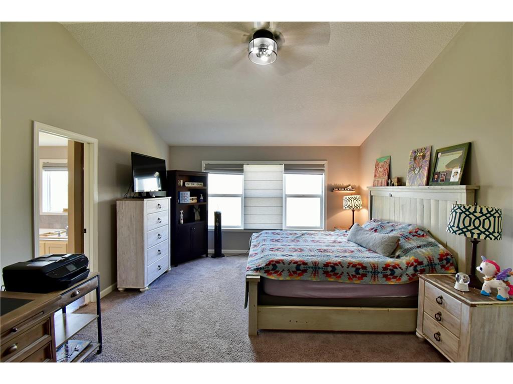 7353 168th Circle NW Ramsey MN 55303 7053891 image39