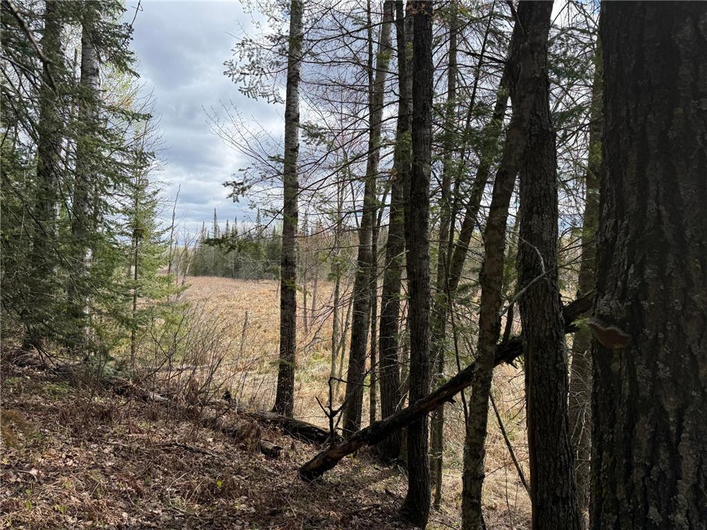 7355 Melrude Rd. W Cotton MN 55724 7079418 image12
