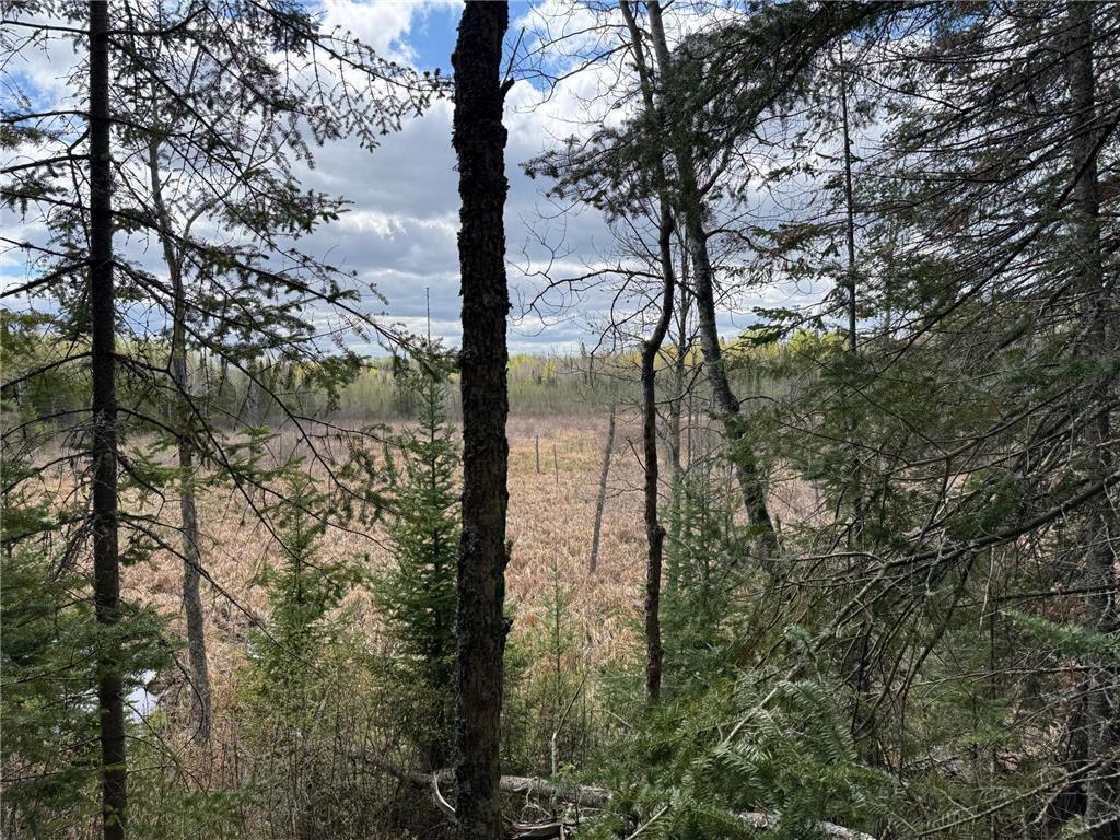 7355 Melrude Rd. W Cotton MN 55724 7079418 image13