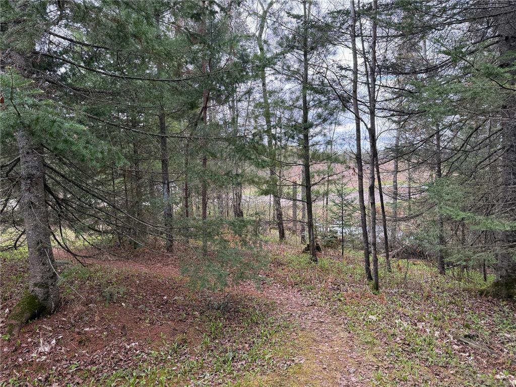 7355 Melrude Rd. W Cotton MN 55724 7079418 image20