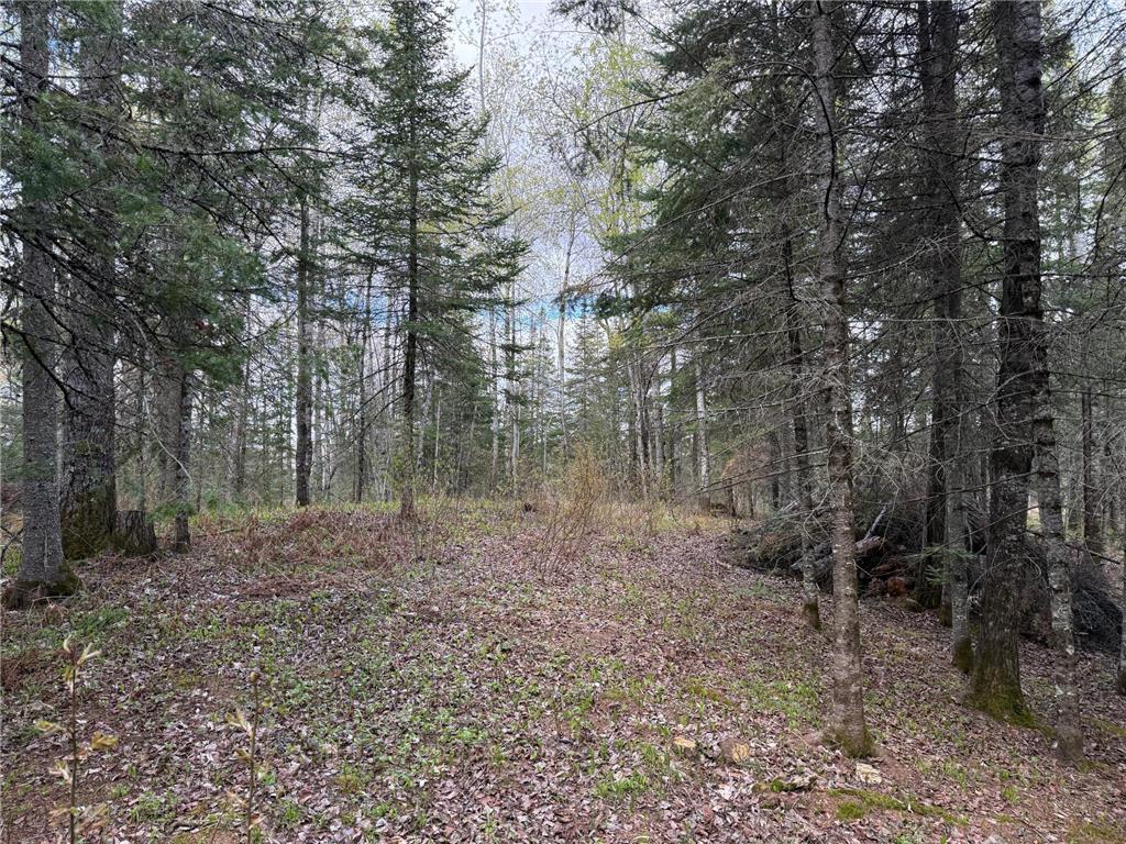 7355 Melrude Rd. W Cotton MN 55724 7079418 image26