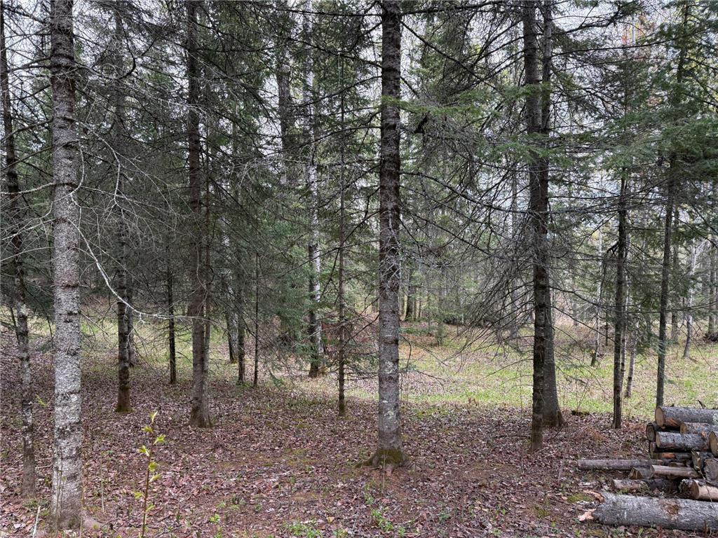 7355 Melrude Rd. W Cotton MN 55724 7079418 image27