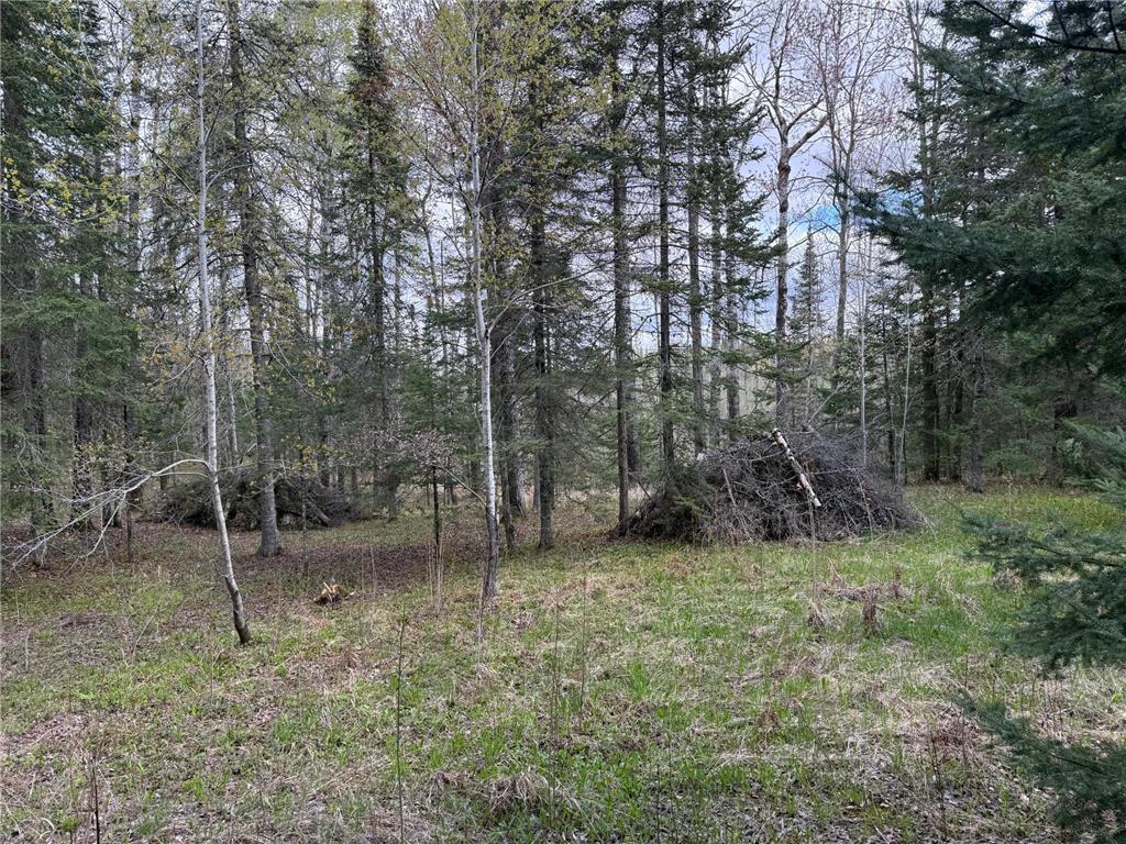 7355 Melrude Rd. W Cotton MN 55724 7079418 image28