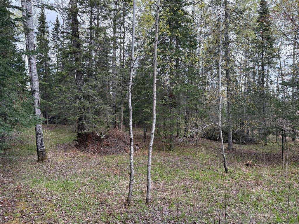 7355 Melrude Rd. W Cotton MN 55724 7079418 image29