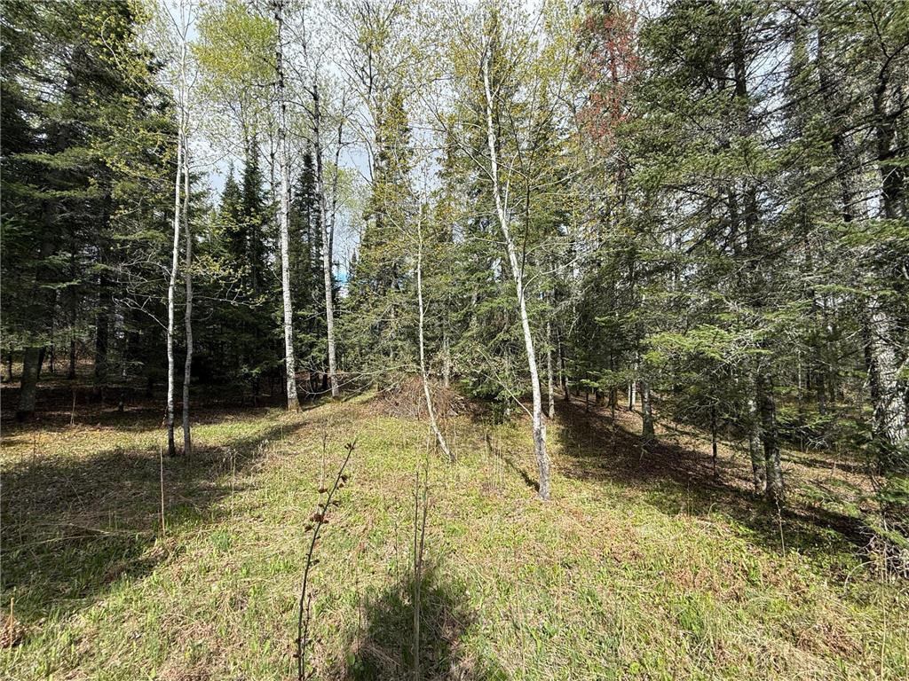 7355 Melrude Rd. W Cotton MN 55724 7079418 image30