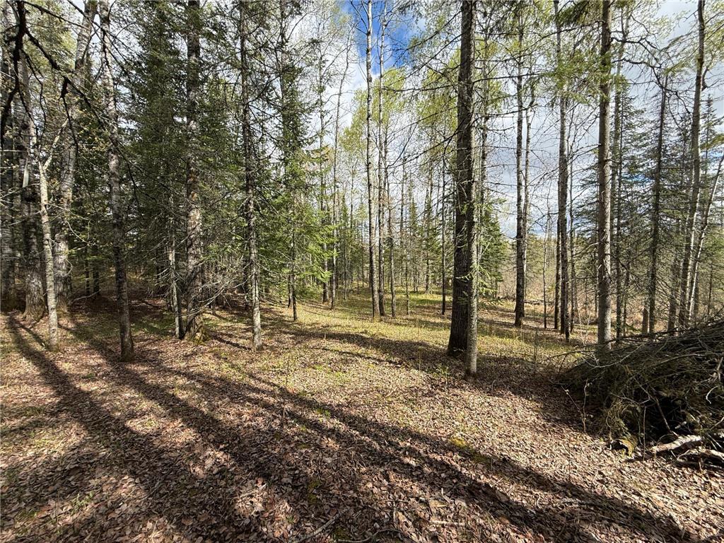 7355 Melrude Rd. W Cotton MN 55724 7079418 image32