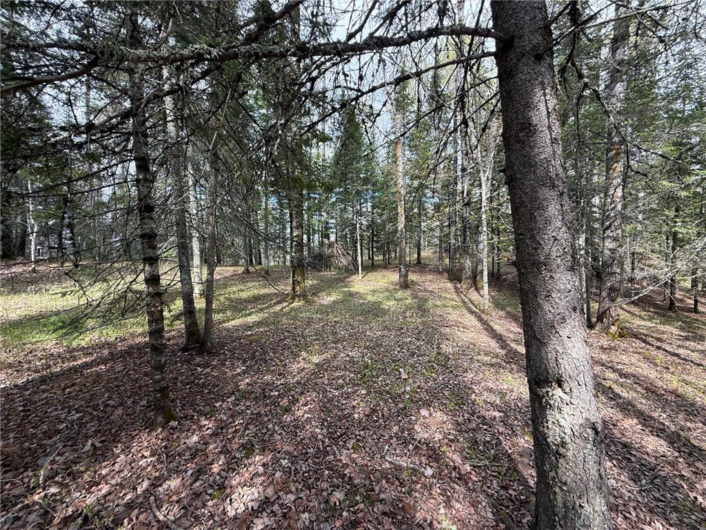 7355 Melrude Rd. W Cotton MN 55724 7079418 image33