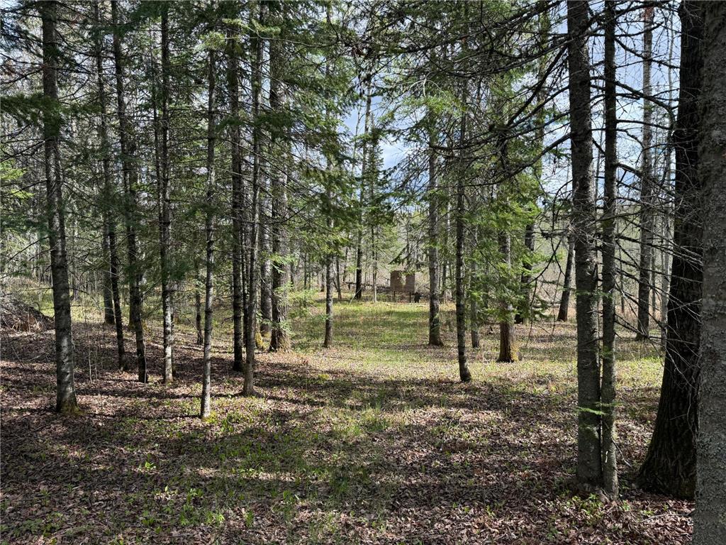 7355 Melrude Rd. W Cotton MN 55724 7079418 image34