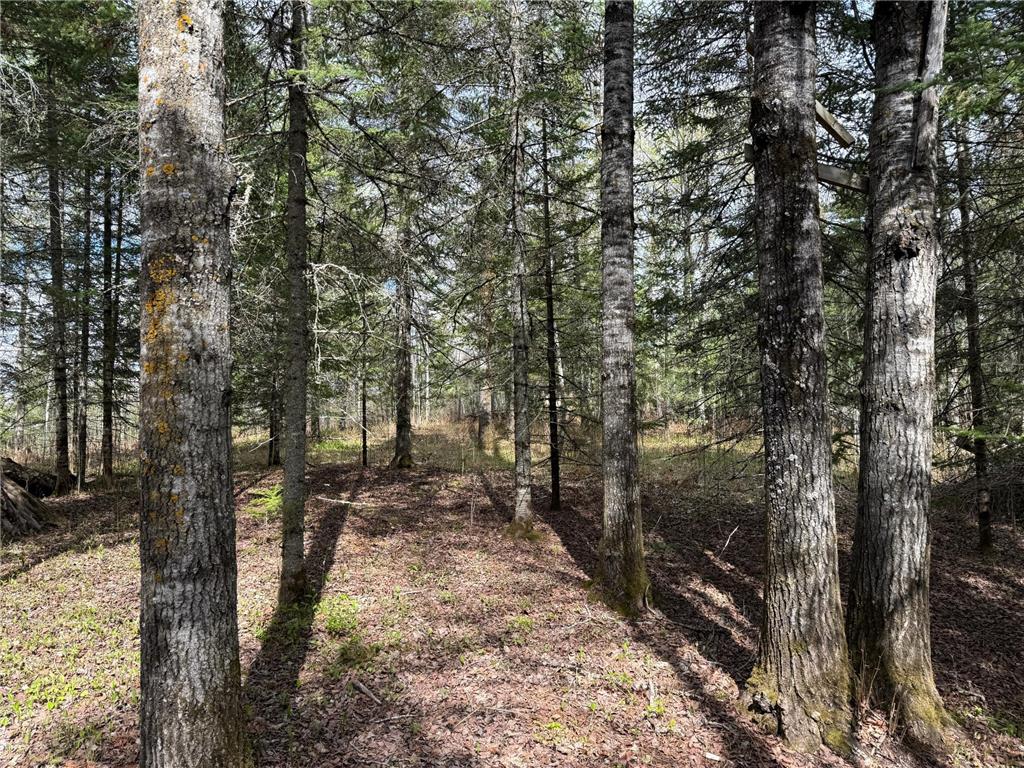 7355 Melrude Rd. W Cotton MN 55724 7079418 image35