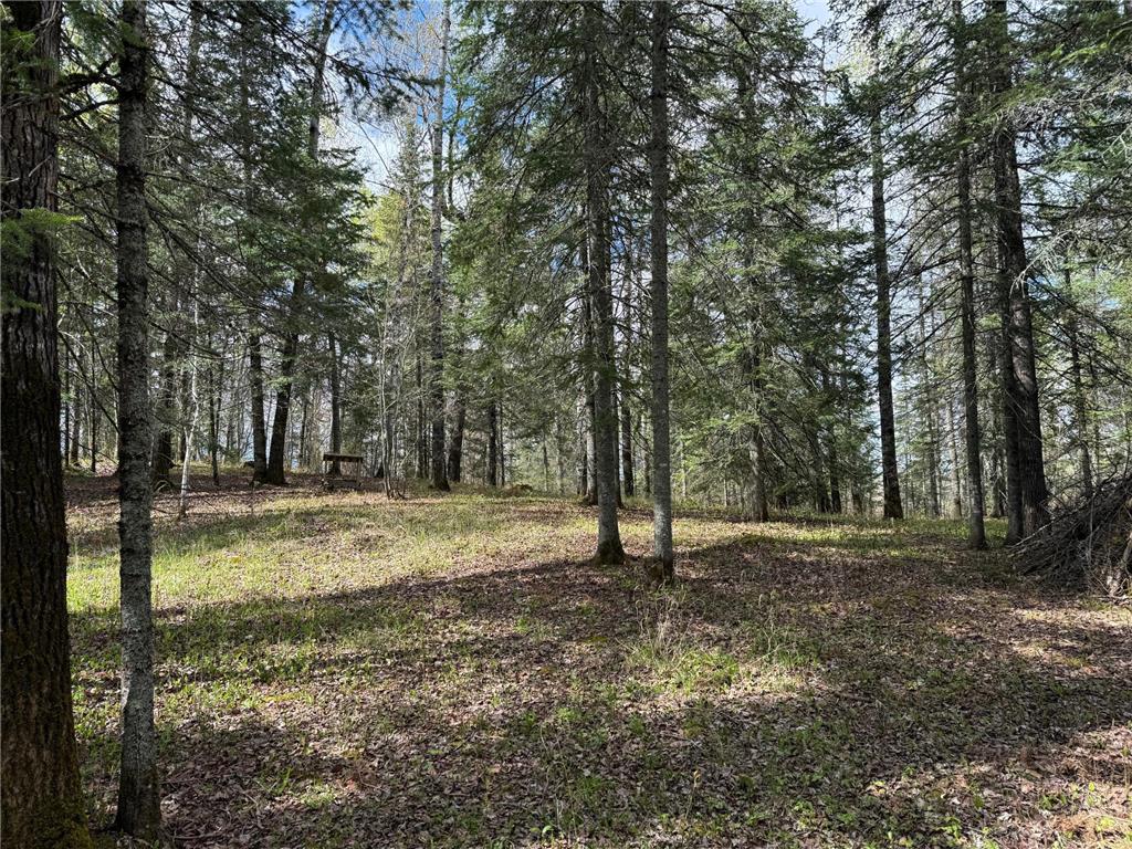 7355 Melrude Rd. W Cotton MN 55724 7079418 image36