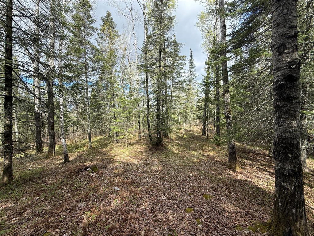 7355 Melrude Rd. W Cotton MN 55724 7079418 image38