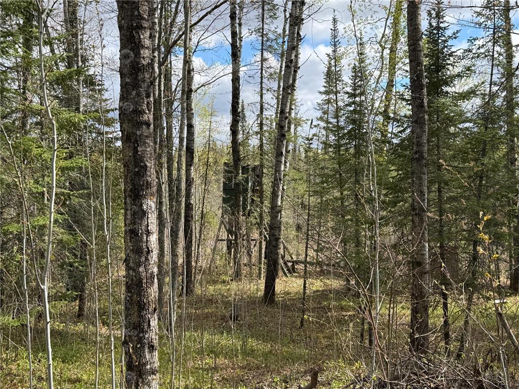 7355 Melrude Rd. W Cotton MN 55724 7079418 image39
