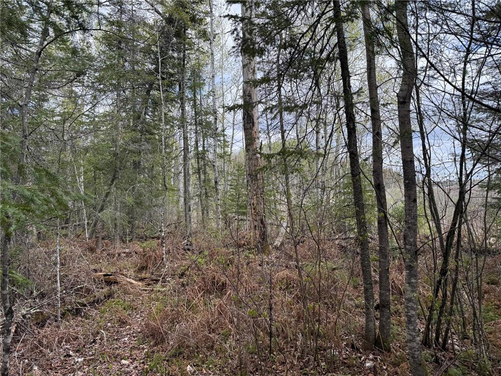 7355 Melrude Rd. W Cotton MN 55724 7079418 image40