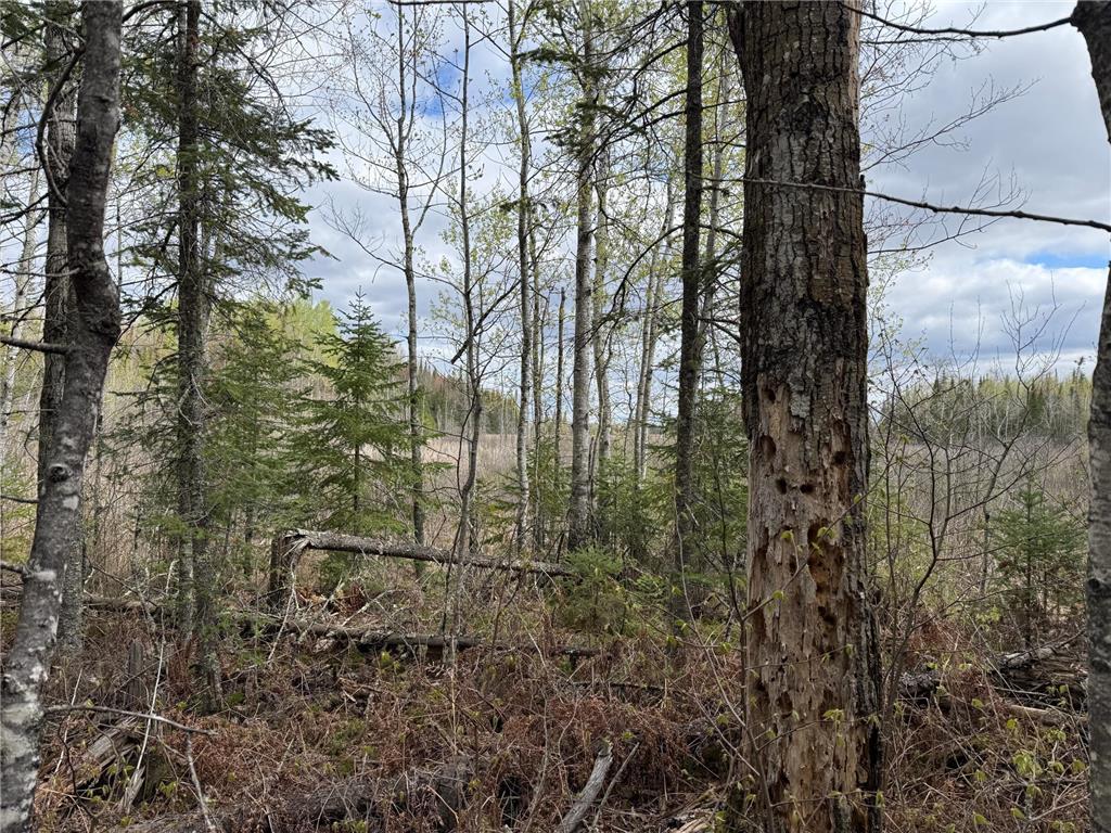 7355 Melrude Rd. W Cotton MN 55724 7079418 image41