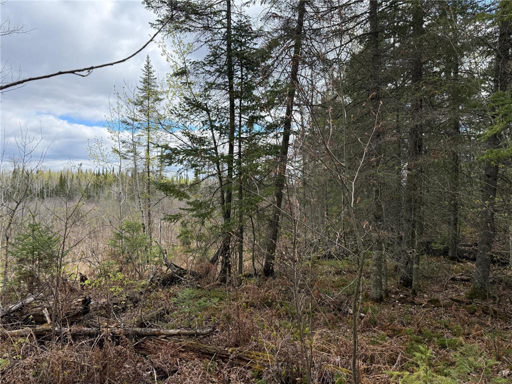 7355 Melrude Rd. W Cotton MN 55724 7079418 image42
