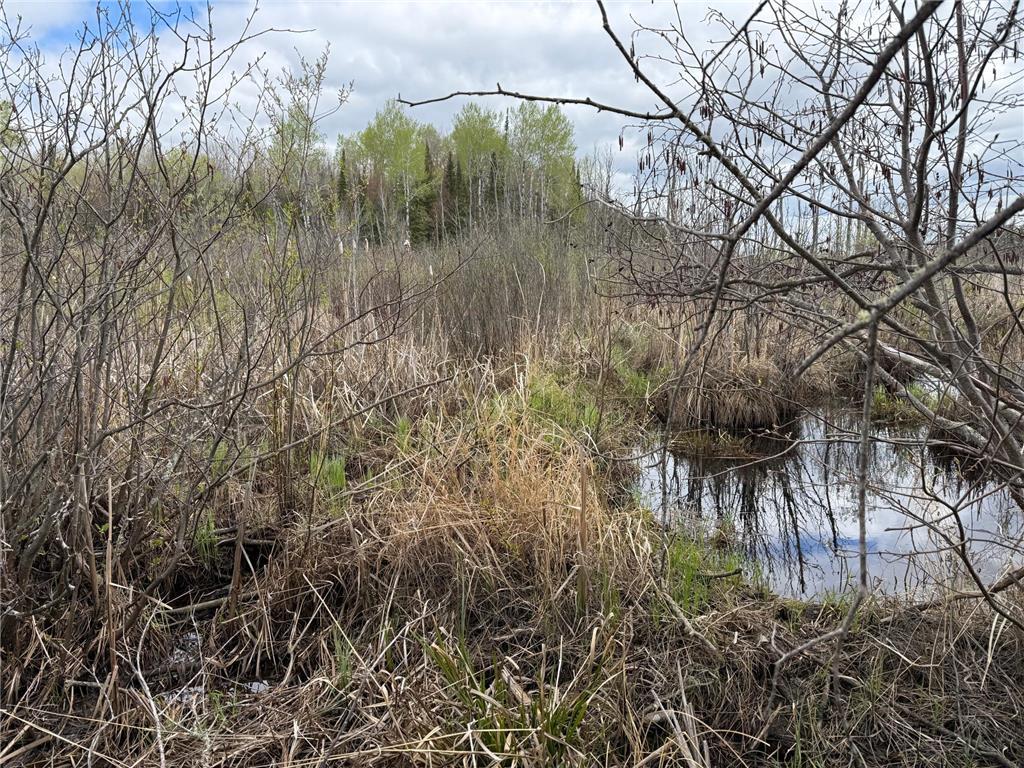 7355 Melrude Rd. W Cotton MN 55724 7079418 image43