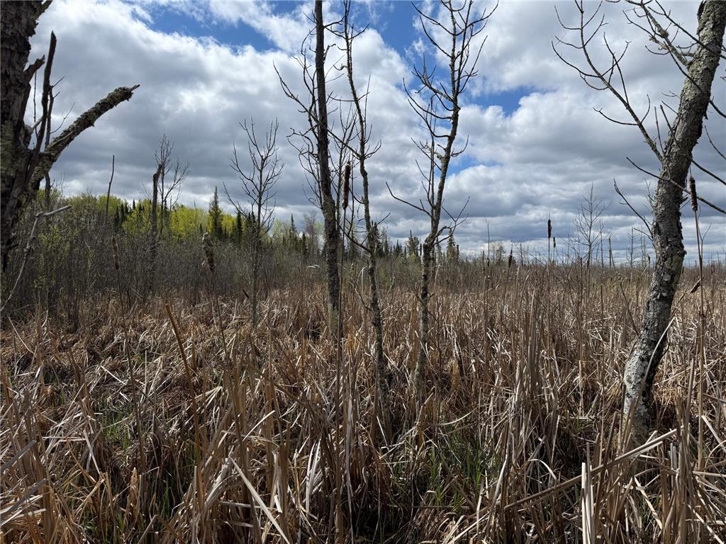 7355 Melrude Rd. W Cotton MN 55724 7079418 image44