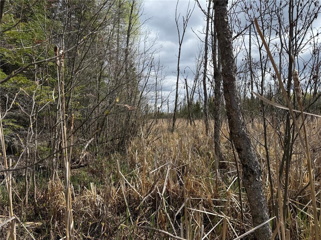 7355 Melrude Rd. W Cotton MN 55724 7079418 image45