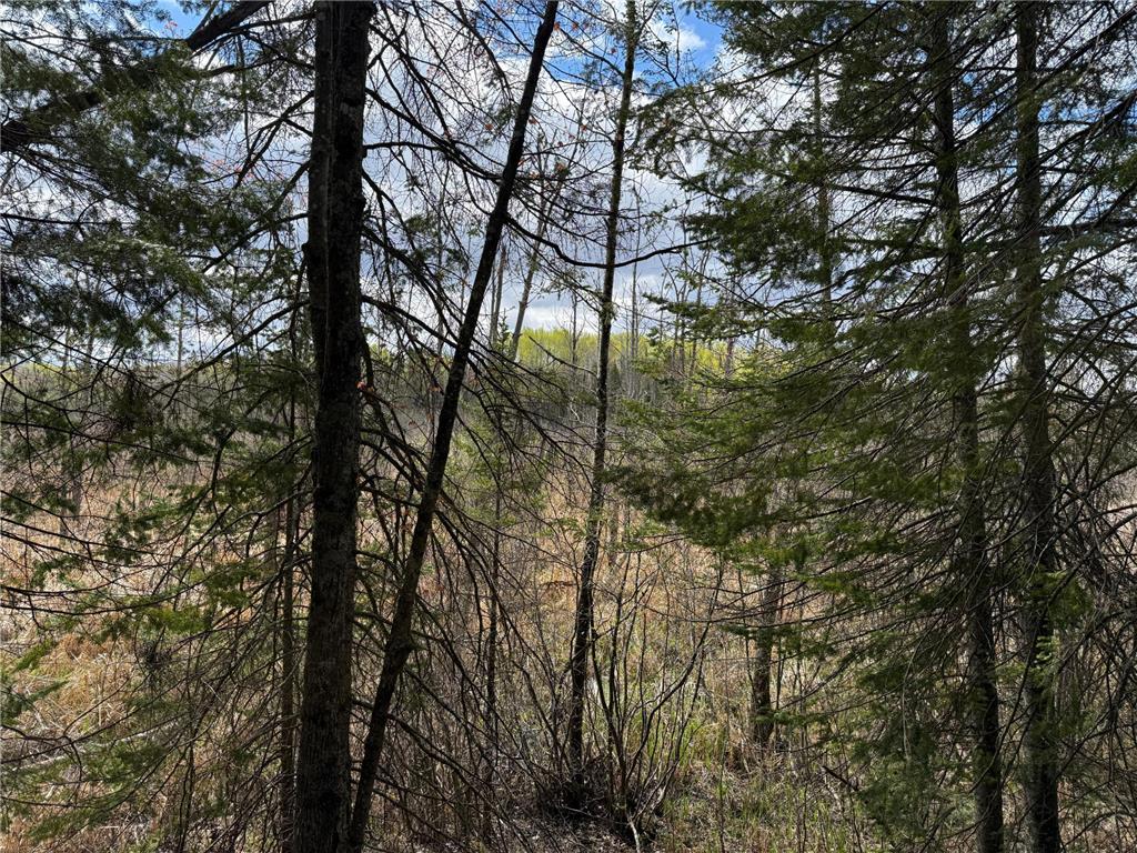 7355 Melrude Rd. W Cotton MN 55724 7079418 image46