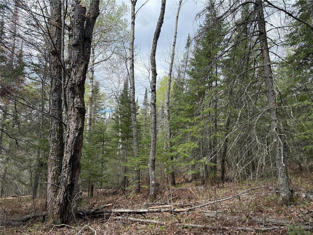 7355 Melrude Rd. W Cotton MN 55724 7079418 image47
