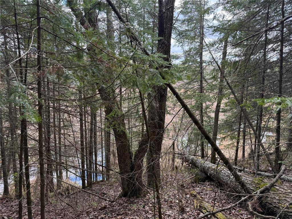 7355 Melrude Rd. W Cotton MN 55724 7079418 image48