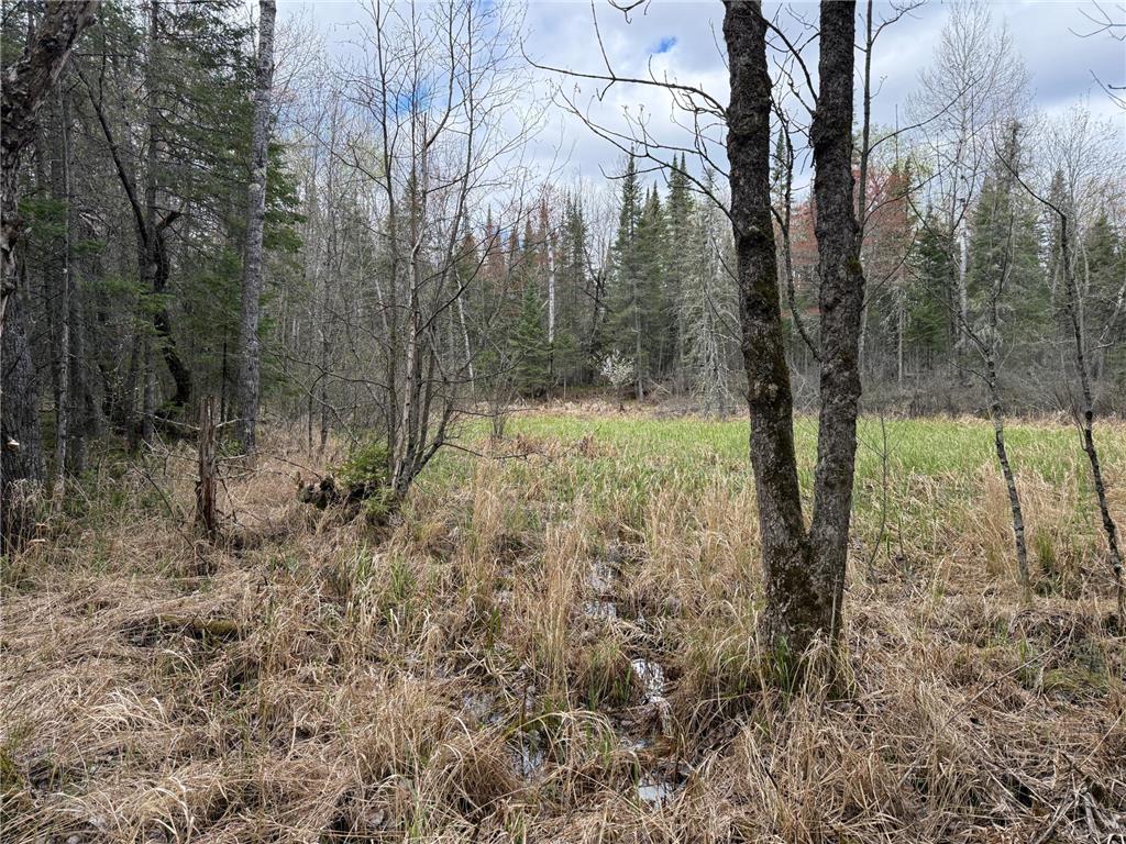7355 Melrude Rd. W Cotton MN 55724 7079418 image52