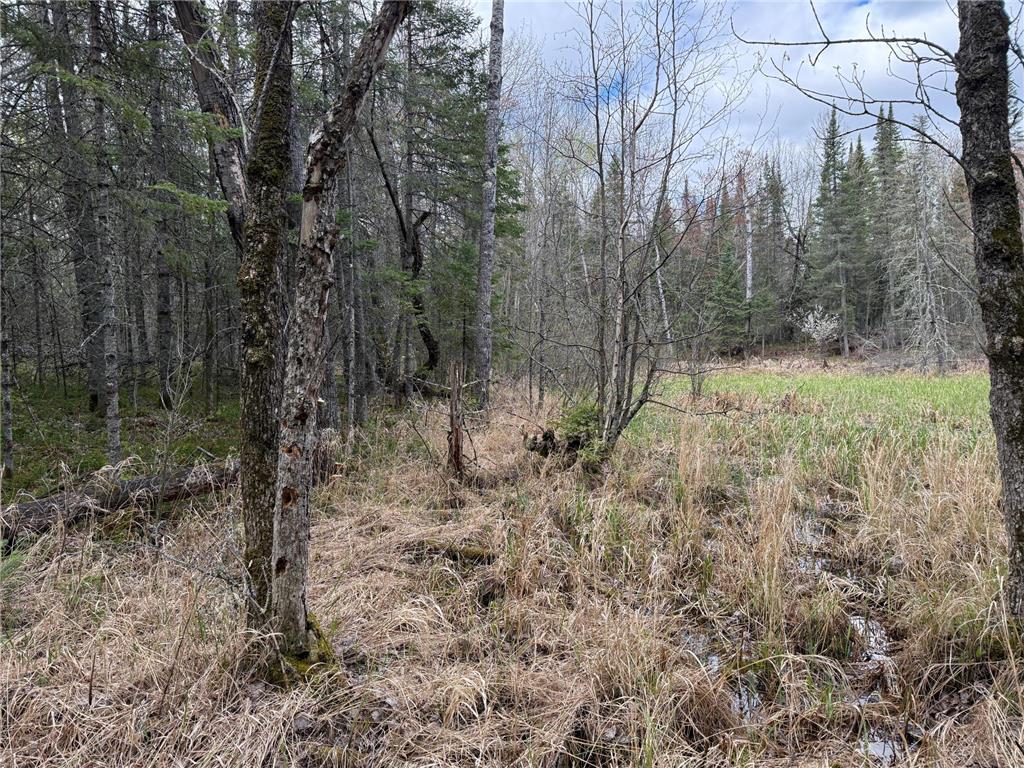 7355 Melrude Rd. W Cotton MN 55724 7079418 image53