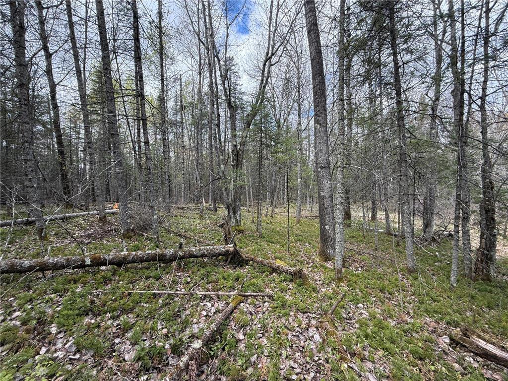 7355 Melrude Rd. W Cotton MN 55724 7079418 image54