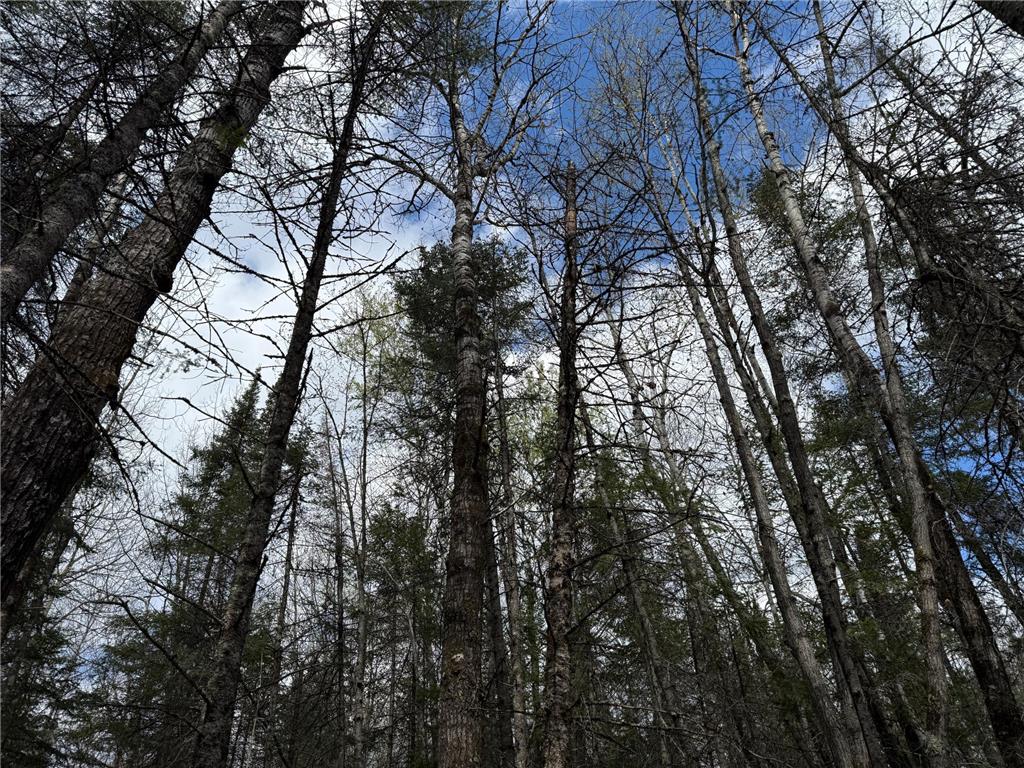 7355 Melrude Rd. W Cotton MN 55724 7079418 image55