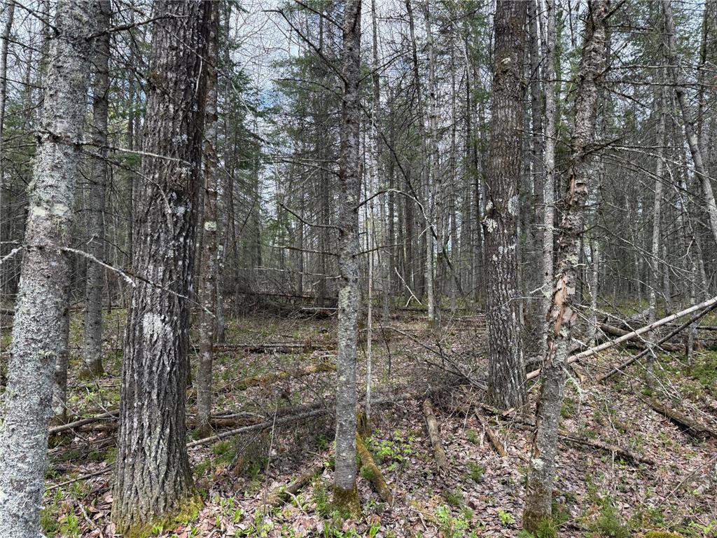 7355 Melrude Rd. W Cotton MN 55724 7079418 image56