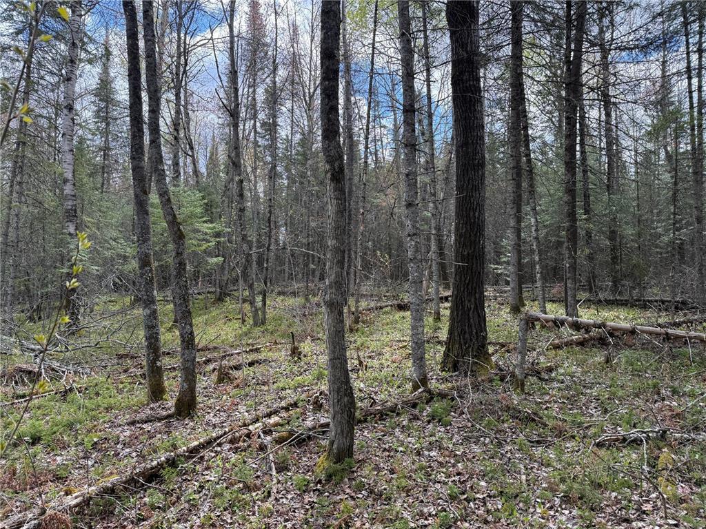 7355 Melrude Rd. W Cotton MN 55724 7079418 image57