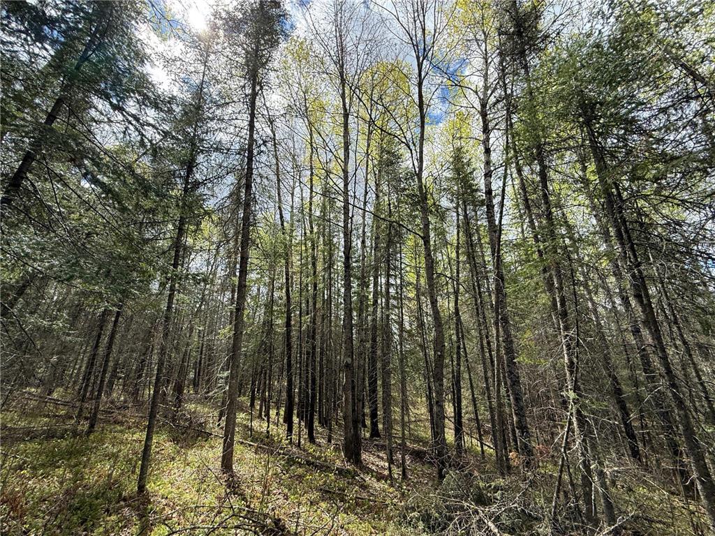 7355 Melrude Rd. W Cotton MN 55724 7079418 image59