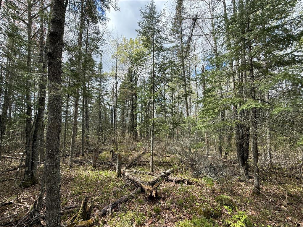 7355 Melrude Rd. W Cotton MN 55724 7079418 image60