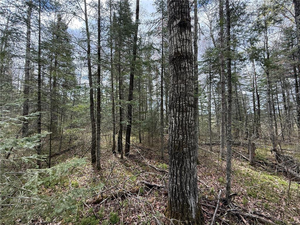 7355 Melrude Rd. W Cotton MN 55724 7079418 image61
