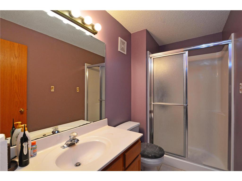 7367 Braden Trail Inver Grove Heights MN 55076 7069325 image15